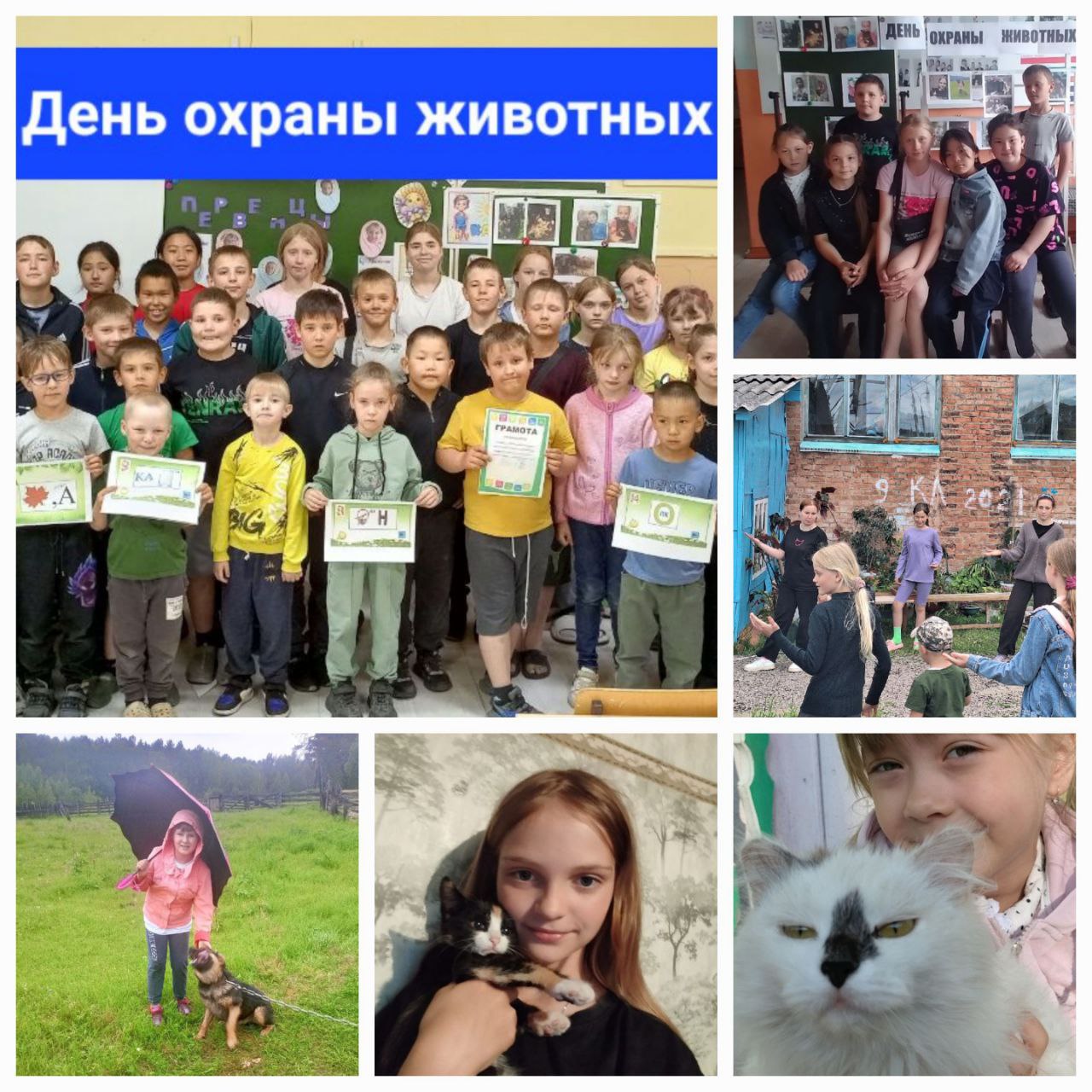 &amp;quot;День охраны животных&amp;quot;.
